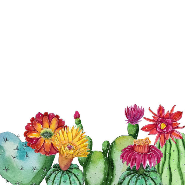 Aquarela floração cacto plantas modelo. Cartão bonito com lugar para o seu texto. Wreathes decorativos para o projeto dos namorados e do casamento
 - Foto, Imagem