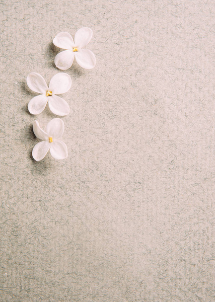 three small natural flowers on the paper textured background, top view - Photo, Image