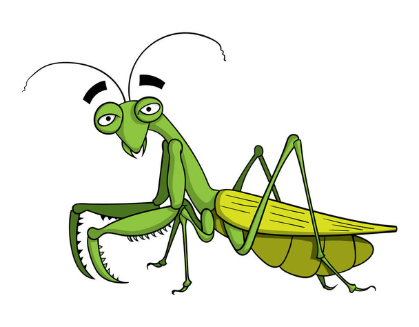 χαρακτήρα κινουμένων σχεδίων χαριτωμένο πράσινη ακρίδα που απομονώνονται σε λευκό φόντο, διάνυσμα, εικονογράφηση  - Διάνυσμα, εικόνα