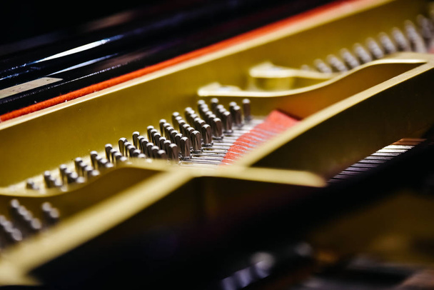 Dettaglio dell'interno di un pianoforte con la tavola armonica, corde e spilli
. - Foto, immagini