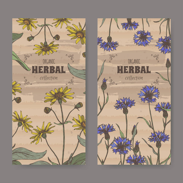 Set of two color labels with Arnica montana aka mountain arnica and Centaurea cyanus aka cornflower or bachelor button. - Vector, Imagen