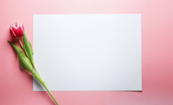 Delicado tulipán rosa sobre un fondo rosa con lugar para el texto. Fondo para felicitaciones o para la fiesta del 8 de marzo, Día de la Madre, 14 de febrero, Navidad, cumpleaños, boda, compromiso
. - Foto, imagen