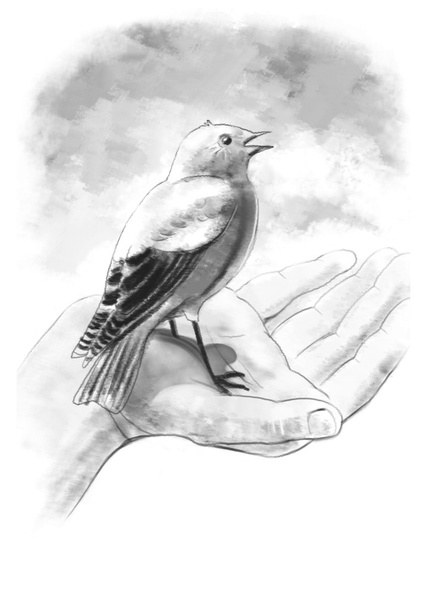 Bird on a hand - Foto, afbeelding