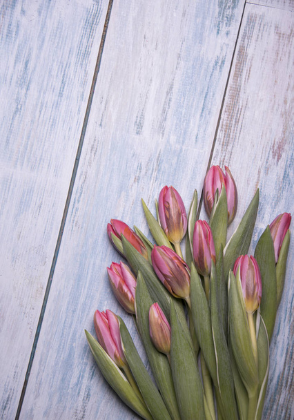 fresh colorful tulips on wooden background  - Foto, immagini