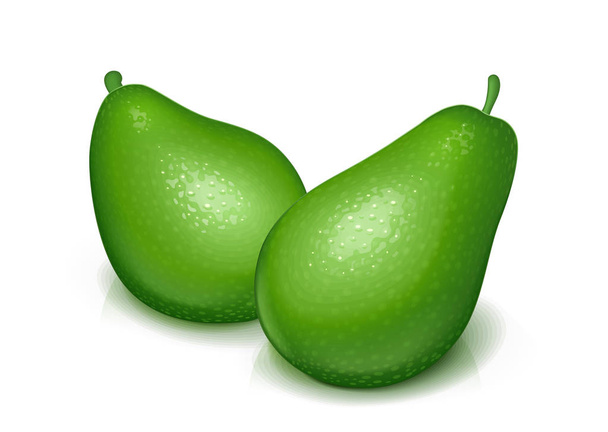 Ripe, juicy green avocado. Vector illustration. - Vecteur, image