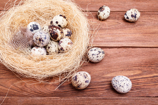 Easter Eggs in bird Nest on rustic wooden background. Quail easter eggs with and feathers in nest on brown table, copy space. Spring, Easter or healthy organic food concept - Foto, immagini