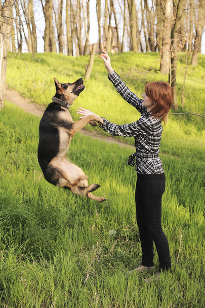 Young woman training her dog - Foto, imagen