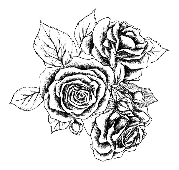 Beautiful monochrome black and white bouquet rose isolated on background. Hand-drawn. Design greeting card and invitation of the wedding and other holidays. - Vector, Image