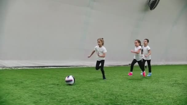 Indoor football arena. Little kids playing football. Running on the football field. Mid shot - Materiał filmowy, wideo