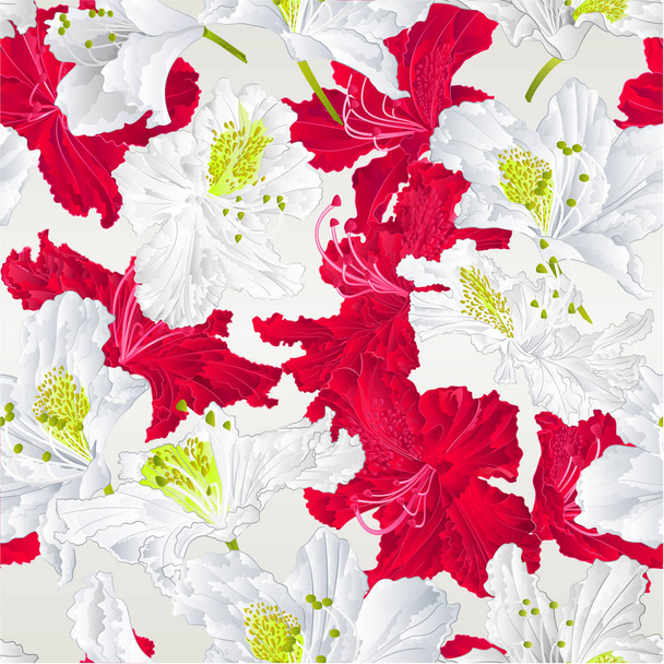 赤と白のシームレス テクスチャ シャクナゲの花ビンテージ ベクトル図編集手描山低木亀裂 - ベクター画像