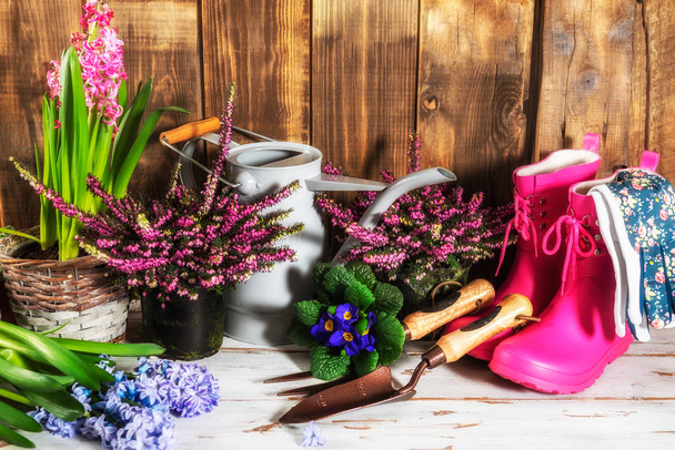 Ferramentas de jardinagem e flores nos vasos
 - Foto, Imagem