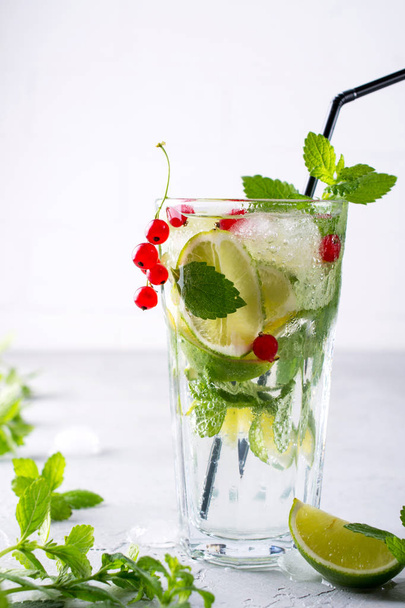 Bebida fría de verano, sangría, limonada o mojito con limón fresco de grosella roja, hojas de menta con ingredientes
. - Foto, Imagen
