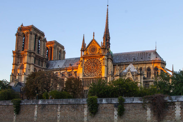 Notre Dame cathedral on Ile de la Cite in Paris, France - 写真・画像