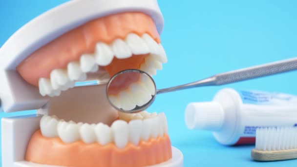 El médico dental examina la cavidad oral
 - Metraje, vídeo