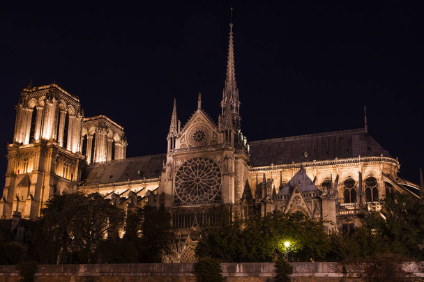 Νοτρ Νταμ de Παρίσι στο βράδυ, Γαλλία - Φωτογραφία, εικόνα