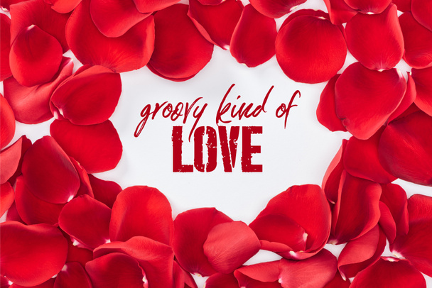 piros rózsaszirom, elszigetelt, fehér, "sablonos fajta szeretet" betűkkel, Szent Valentin-nap koncepció készült kerek virágos keret felső nézetében - Fotó, kép