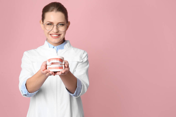 Female dentist holding jaws model on color background. Space for text - Фото, зображення