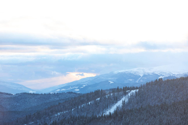 Beautiful mountain landscape with forest in winter - Фото, зображення