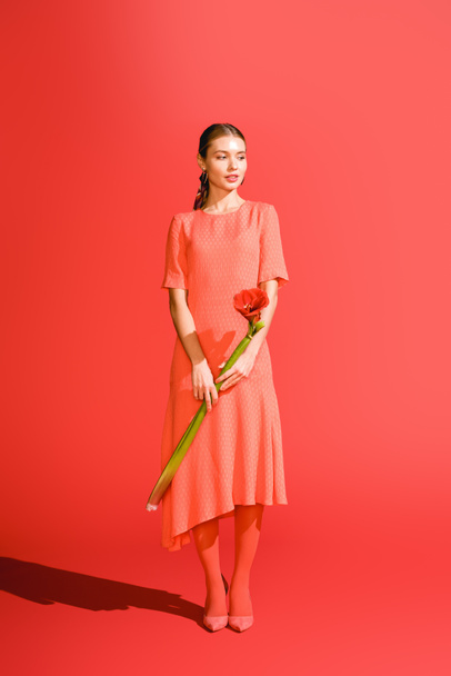 attractive elegant girl in dress holding red amaryllis flower on living coral. Pantone color of the year 2019 concept - Photo, Image