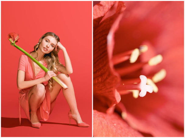 κολάζ με κόκκινες Αμαρυλλίδες και όμορφη γυναίκα με λουλούδι σε ζουν κοραλλιών. Pantone χρώμα της έννοιας έτος 2019 - Φωτογραφία, εικόνα