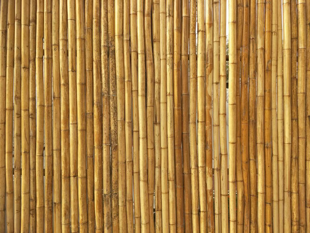 bamboe textuur achtergrond in de Thailand - Foto, afbeelding