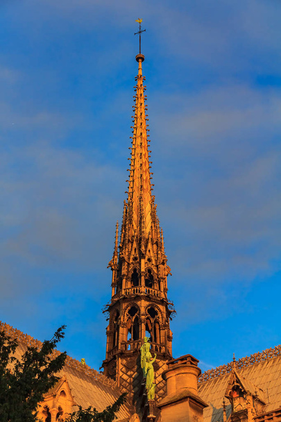 Detalles de la torre gótica adornada vista desde el lado sur de la catedral de Notre Dame de París coloreada por la cálida luz del atardecer
 - Foto, Imagen