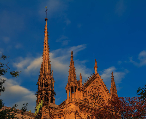 Details der Südfassade der Kathedrale Notre Dame de Paris mit dem Rosettenfenster und den verzierten Türmen, die vom warmen Licht des Sonnenuntergangs gefärbt werden - Foto, Bild