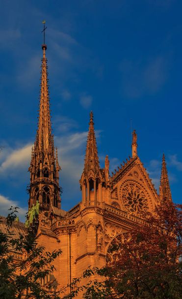 Részletek a déli homlokzata Notre Dame de Paris katedrális homlokzata a rózsaablak és a színes naplementét meleg fény díszes tornyokat - Fotó, kép