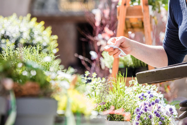 Fleuriste ou jardinière travaillant dans un magasin de fleurs ou une pépinière, plan de culture
 - Photo, image