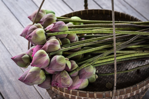 Lotus flower on the basket. - Photo, Image