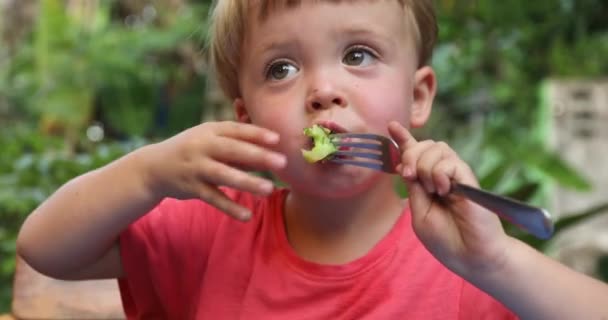 Gyerek eszik brokkoli a villás - Felvétel, videó