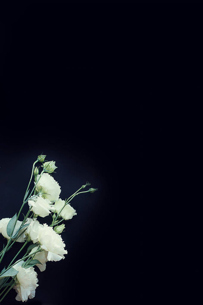 Bouquet zarter weißer Eustomas auf schwarzem Hintergrund - Foto, Bild
