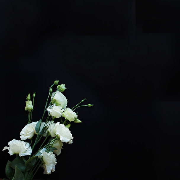 bouquet of delicate fresh white eustomas on a black square background - Foto, imagen