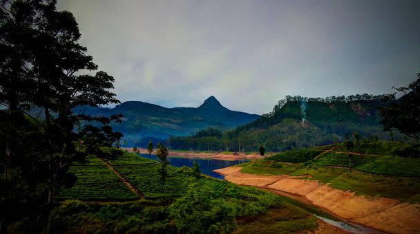 Panoramik Sri Pada tepe ve göl ile çay ekimi, Nuwara Eliya, Sri Lanka - Fotoğraf, Görsel