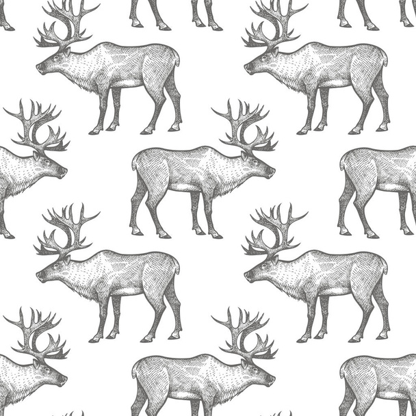 Reindeer. Seamless pattern with animals North America. Hand drawing of wildlife. Vector illustration art. Black and white. Old engraving. Vintage. Design for fabrics; paper; textiles; fashion. - Vettoriali, immagini