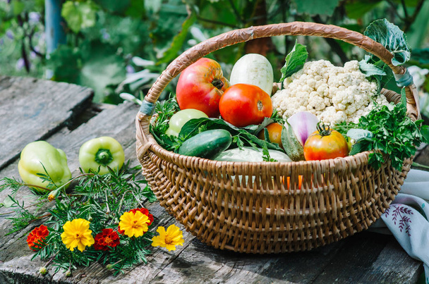 Vegetables . Fresh Bio Vegetable in a Basket. Over Nature Background - Foto, imagen