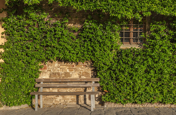 fapadon közelében a régi fal, ablak, és a zöld borostyán ház levelek Firenze, Toscana, Olaszország.  - Fotó, kép