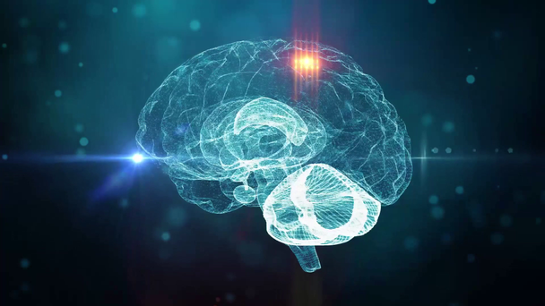 İnsan beyninin sinirsel ağ tıbbi geçmişi - Video, Çekim