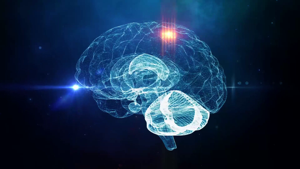 Lidský mozek neuronové sítě lékařské vzdělání - Záběry, video