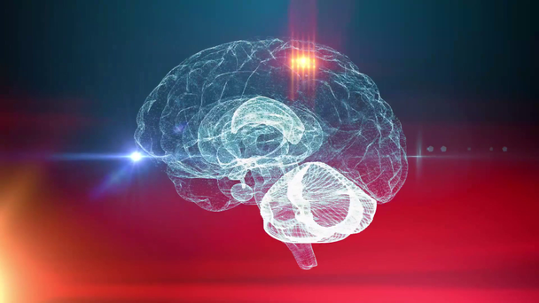 Lidský mozek neuronové sítě lékařské vzdělání - Záběry, video