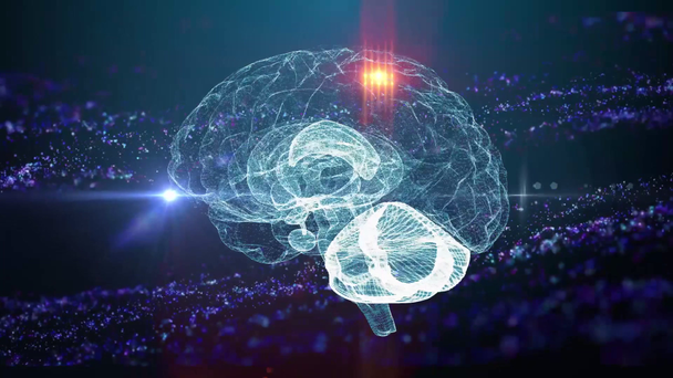 Réseau neuronal du cerveau humain antécédents médicaux
 - Séquence, vidéo