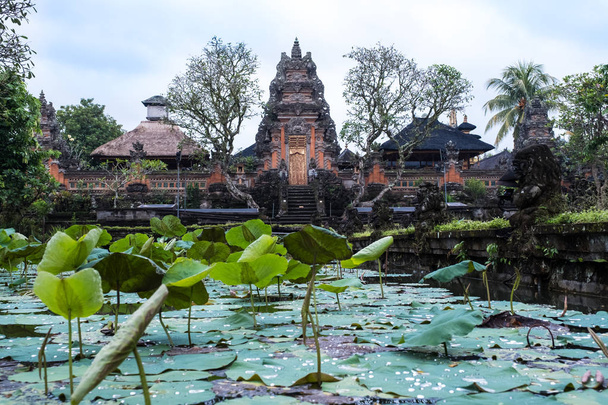 Lotus temple, the ancient place in Ubud, Bali, Indonesia. - Fotoğraf, Görsel