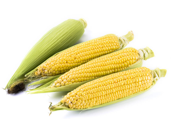 sweet corn on white background - Photo, Image