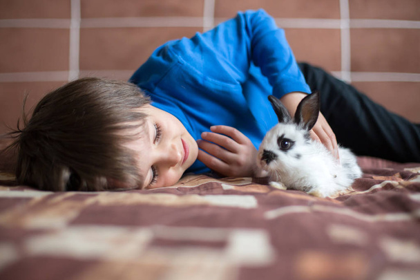 Cute little preschool boy, playing with pet rabbits at home, pets - Photo, image