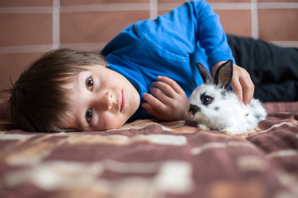 Cute little preschool boy, playing with pet rabbits at home, pets - Фото, зображення