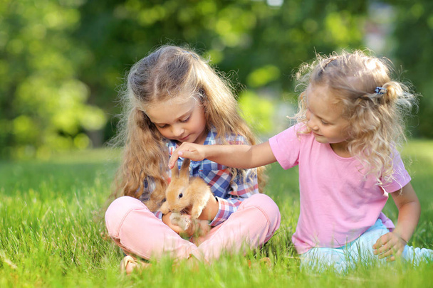 chicas lindas con conejito sentado en la hierba en el parque de verano
 - Foto, imagen