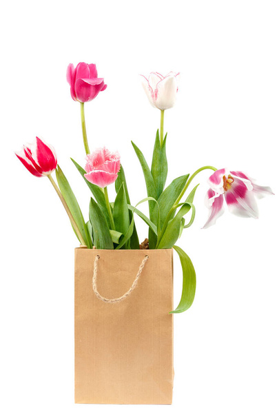 Tulips flowers bouquet isolated on white background. - Fotoğraf, Görsel
