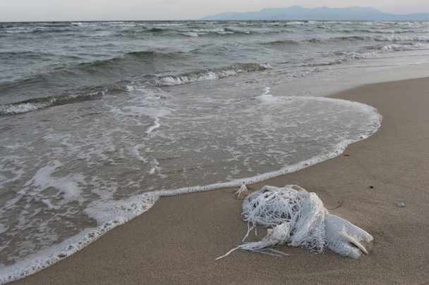 Jätteiden saastuttamat rannat
 - Valokuva, kuva