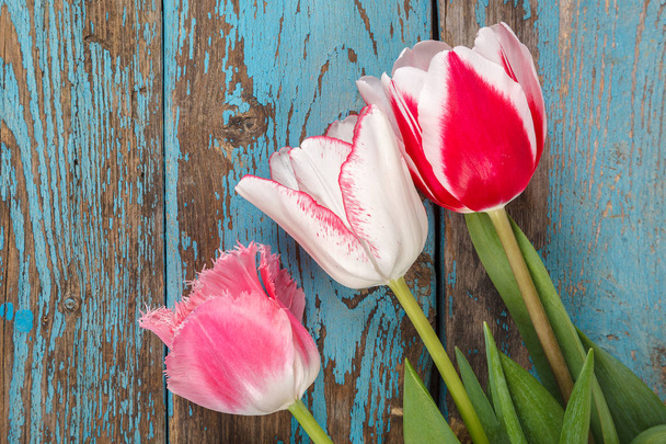 Tulips flowers bouquet of wooden boards as a background. - Photo, Image