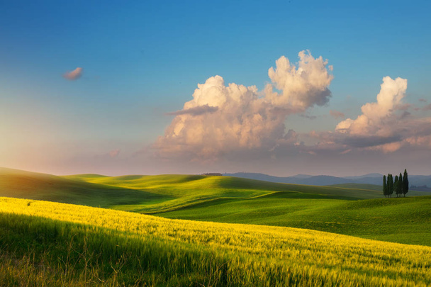 lente landbouwgrond en land weg; glooiende heuvels van het platteland van Toscane - Foto, afbeelding